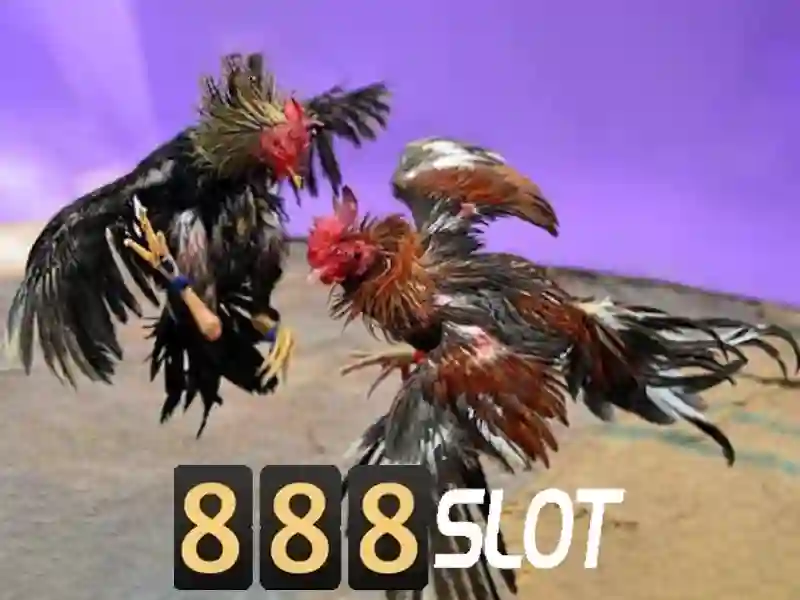 888slot Store