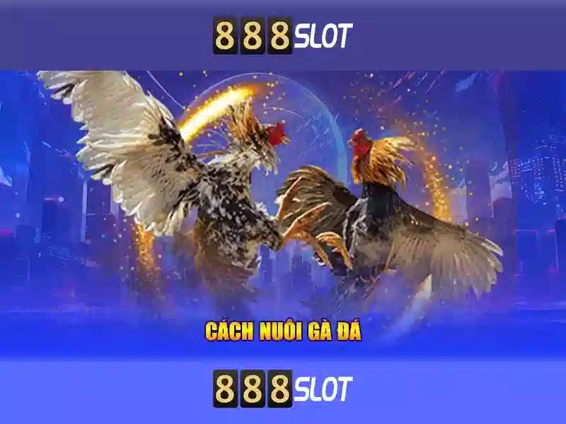 Slot 888 Bet Trải Nghiệm