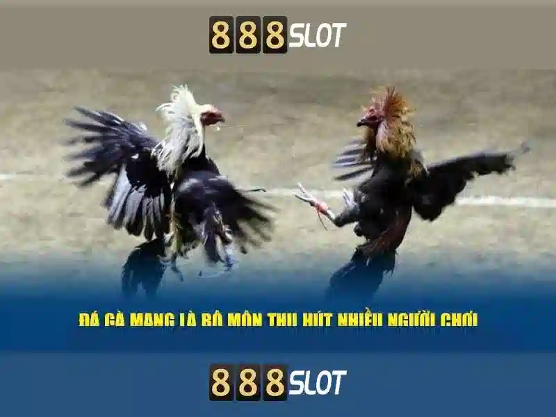 Khám phá 888SLOT
