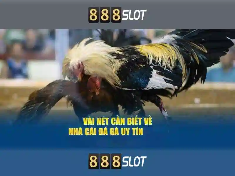 Ưu đãi 888slot Dewa