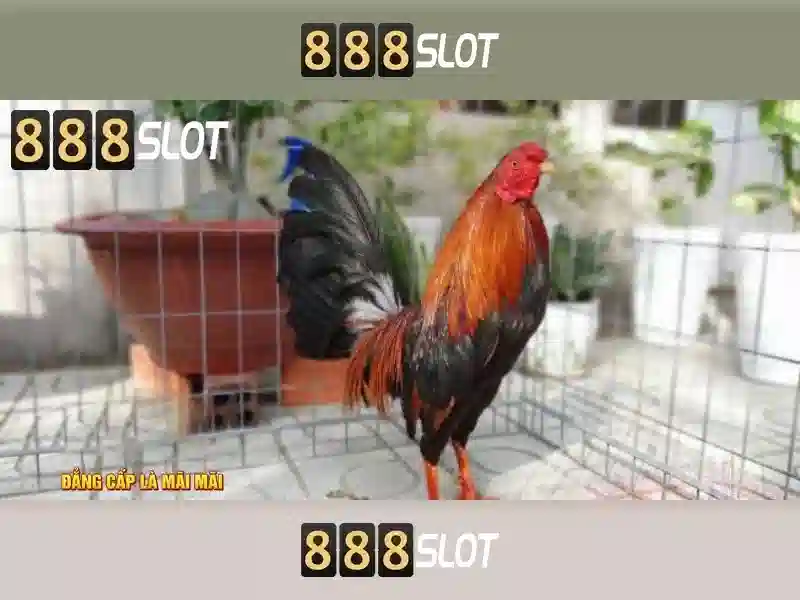 Tối Ưu Hóa Trải Nghiệm Với Giao Diện Hiện Đại