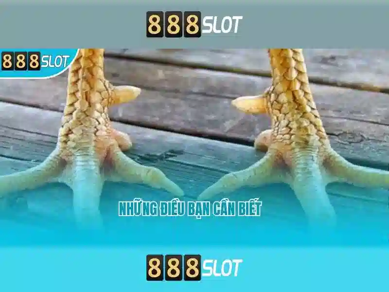 Công cụ 888slot com apk