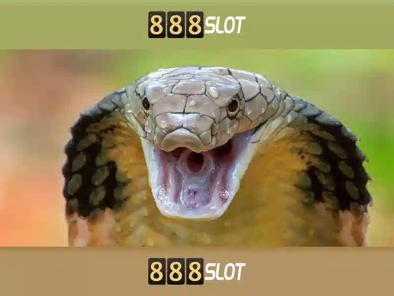 Tính năng 888slot apk mod