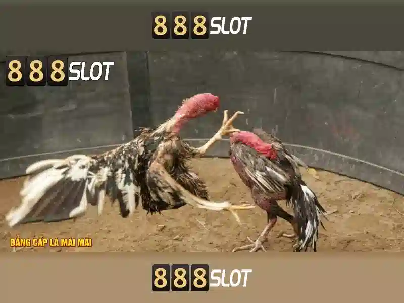 Hướng Dẫn Đăng Ký 888SLOT