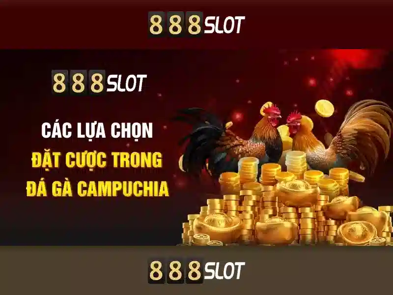 Trải nghiệm slot trực tiếp