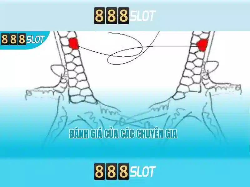 Quyền Riêng Tư 888SLOT
