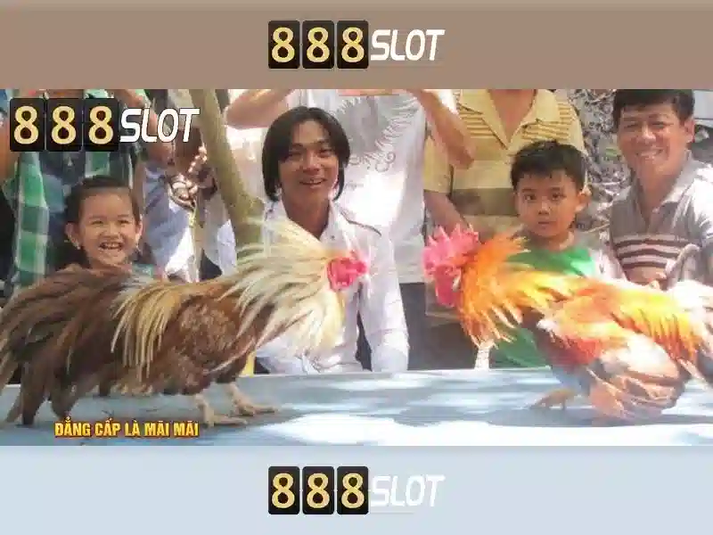 trải nghiệm cá cược