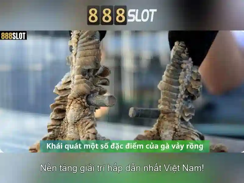 Trải Nghiệm Slot Đa Dạng