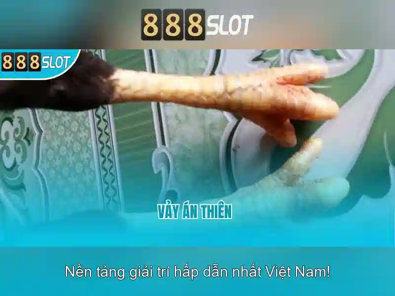 888slot freebet – Chương Trình Ưu Đãi Độc Quyền